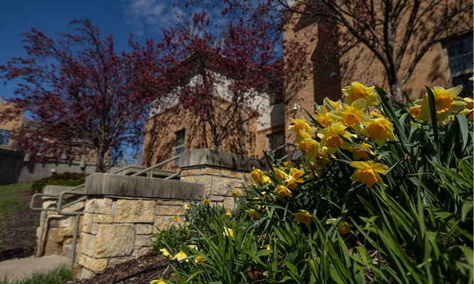 Excellence hall